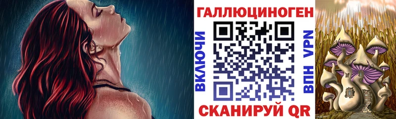 где купить наркоту Осинники Галлюциногенные грибы мицелий